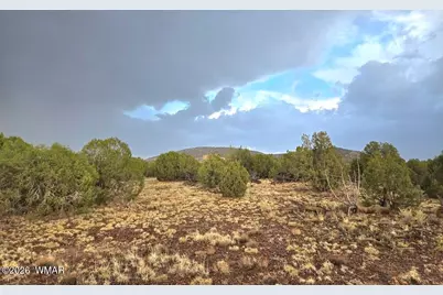 Lot 9 Pinon Valley Ranch, Concho, AZ 85924 - Photo 8