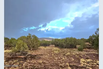 Lot 9 Pinon Valley Ranch, Concho, AZ 85924 - Photo 2