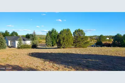 7032 Stagecoach Pass, Show Low, AZ 85901 - Photo 4