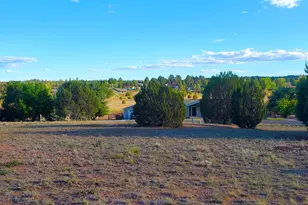 7032 Stagecoach Pass, Show Low, AZ 85901 - Photo 1