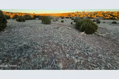 4970 Hollyhock Street, Clay Springs, AZ 85923 - Photo 1