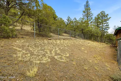 169 County Road 2108, Nutrioso, AZ 85932 - Photo 24