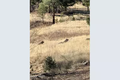 28 County Road 2310, Alpine, AZ 85920 - Photo 50