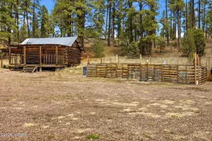 28 County Rd 2310, Alpine, AZ 85920 - Photo 34