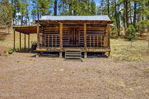 28 County Rd 2310, Alpine, AZ 85920 - Photo 6