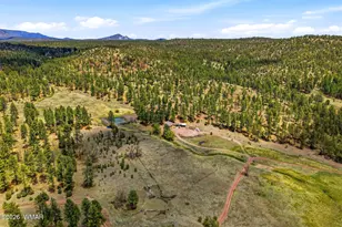 28 County Rd 2310, Alpine, AZ 85920 - Photo 46