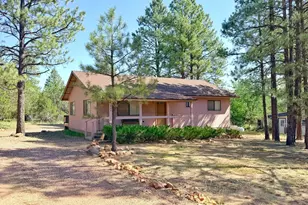 1924 Little Doe Trail, Overgaard, AZ 85933 - Photo 2