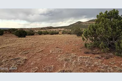 2 N8604, Concho, AZ 85924 - Photo 4