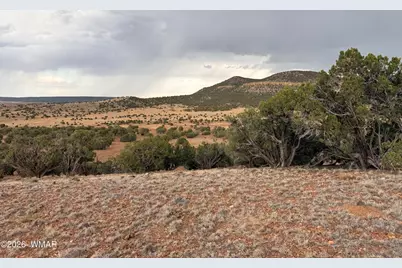 2 N8604, Concho, AZ 85924 - Photo 2