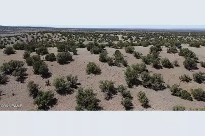 2 N8604, Concho, AZ 85924 - Photo 22