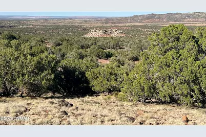 2 N8604, Concho, AZ 85924 - Photo 2