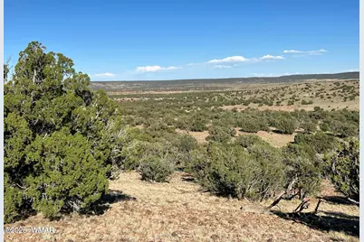 2 N8604, Concho, AZ 85924 - Photo 16