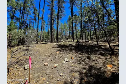 2953 S White Mountain, Show Low, AZ 85901 - Photo 10