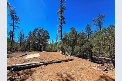 2953 S White Mountain, Show Low, AZ 85901 - Photo 2