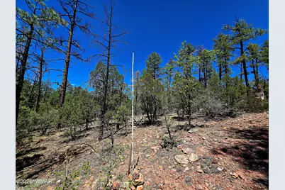 2953 S White Mountain, Show Low, AZ 85901 - Photo 8