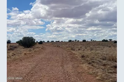 8539 Terry Trail, Snowflake, AZ 85937 - Photo 18