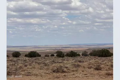 8539 Terry Trail, Snowflake, AZ 85937 - Photo 6