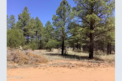 Tbd Cedar Bark Trail, Overgaard, AZ 85933 - Photo 4