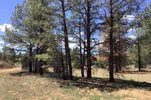 Tbd Cedar Bark Trail, Overgaard, AZ 85933 - Photo 1
