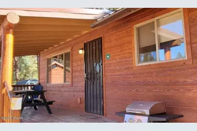Cabin 88 Rohrer Road, Greer, AZ 85927 - Photo 4