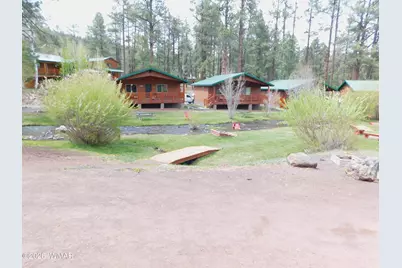 Cabin 88 Rohrer Road, Greer, AZ 85927 - Photo 12