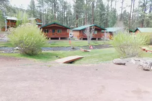Cabin 88 Rohrer Rd, Greer, AZ 85927 - Photo 12