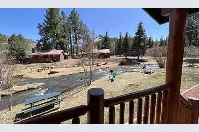 Cabin 95 Rohrer Road, Greer, AZ 85927 - Photo 8