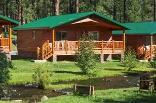 Cabin 95 Rohrer Rd, Greer, AZ 85927 - Photo 1