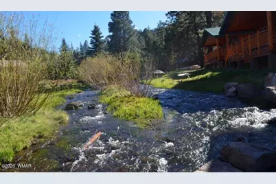 Cabin 95 Rohrer Road, Greer, AZ 85927 - Photo 14