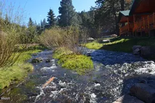 Cabin 95 Rohrer Rd, Greer, AZ 85927 - Photo 14