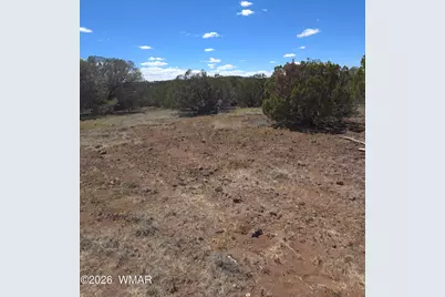 8523 Bobcat Drive, Show Low, AZ 85901 - Photo 10