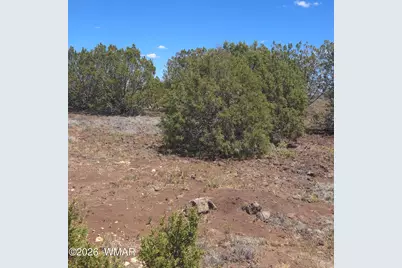 8523 Bobcat Drive, Show Low, AZ 85901 - Photo 14