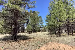 Tbd Cedar Bark Trail, Overgaard, AZ 85933 - Photo 1