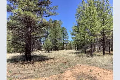 Tbd Cedar Bark Trail, Overgaard, AZ 85933 - Photo 8