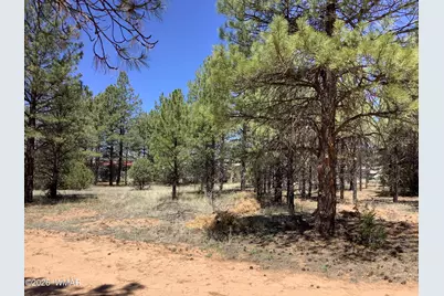 Tbd Cedar Bark Trail, Overgaard, AZ 85933 - Photo 1