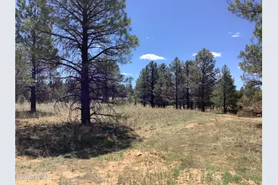 Tbd Cedar Bark Trail, Overgaard, AZ 85933 - Photo 2