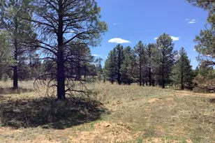 Tbd Cedar Bark Trail, Overgaard, AZ 85933 - Photo 1