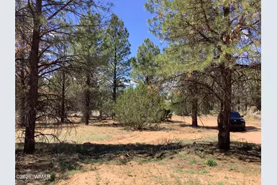 Tbd Cedar Bark Trail, Overgaard, AZ 85933 - Photo 6