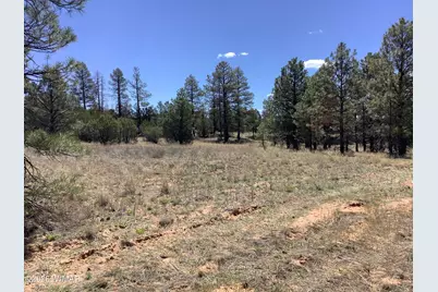 Tbd Cedar Bark Trail, Overgaard, AZ 85933 - Photo 2