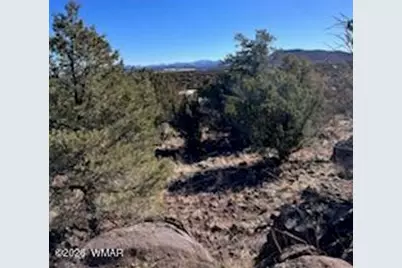Lot 002P N8689, Concho, AZ 85924 - Photo 14