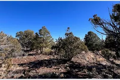 Lot 002P N8689, Concho, AZ 85924 - Photo 10