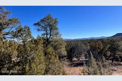 Lot 002P N8689, Concho, AZ 85924 - Photo 4