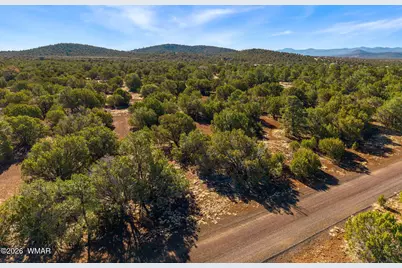 20 Cr N8623, Concho, AZ 85924 - Photo 8