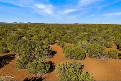 20 Cr N8623, Concho, AZ 85924 - Photo 10