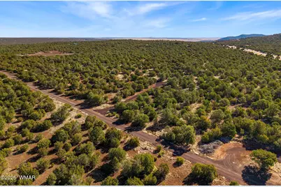 20 Cr N8623, Concho, AZ 85924 - Photo 6