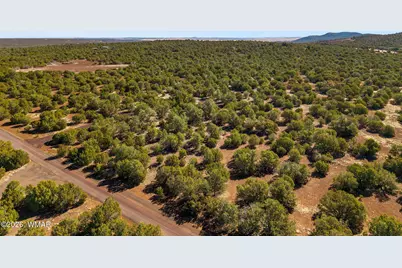 28 Cr N8623, Concho, AZ 85924 - Photo 6