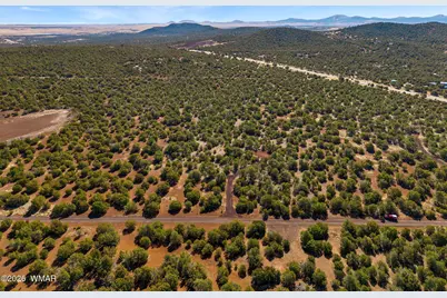 28 Cr N8623, Concho, AZ 85924 - Photo 4