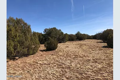 122 Spruce Street, Concho, AZ 85924 - Photo 8