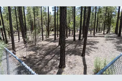 3557 Oakview Lane, Lakeside, AZ 85929 - Photo 48