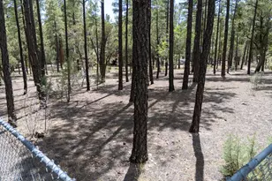3557 Oakview Ln, Lakeside, AZ 85929 - Photo 48